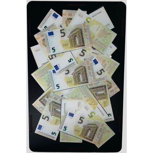 Poklon kasica prasica (kasica za novac) 5 EUR x 200 (1000 EUR) slika 3