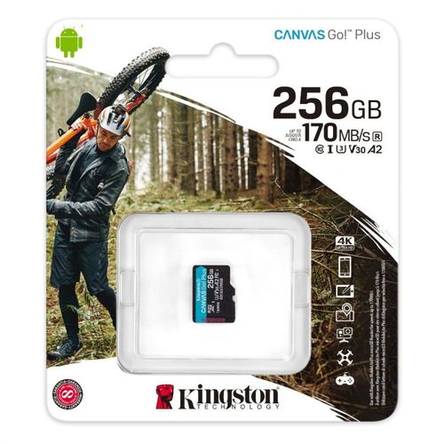 Memorijska kartica bez adapt. Kingston Canvas Go! Plus microSD 256GB slika 3