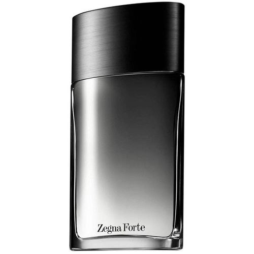 Ermenegildo Zegna Forte EDT 100 ml  slika 1