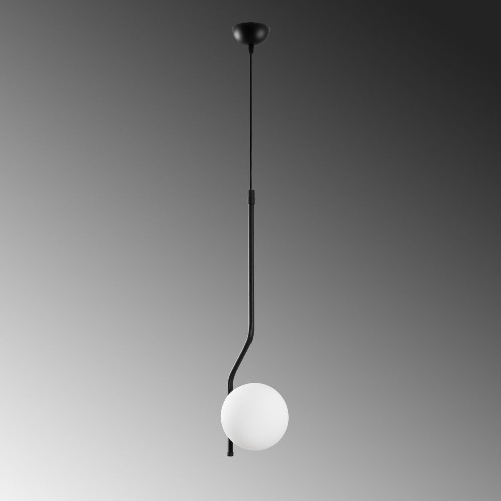 Tulıp - 13818 Crni Luster slika 7