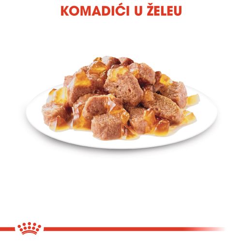 ROYAL CANIN FHN Ageing 12+ Jelly, potpuna hrana u vrećici za  odrasle mačke starije od 12 godina, komadići u želeu, 12x85 g slika 7