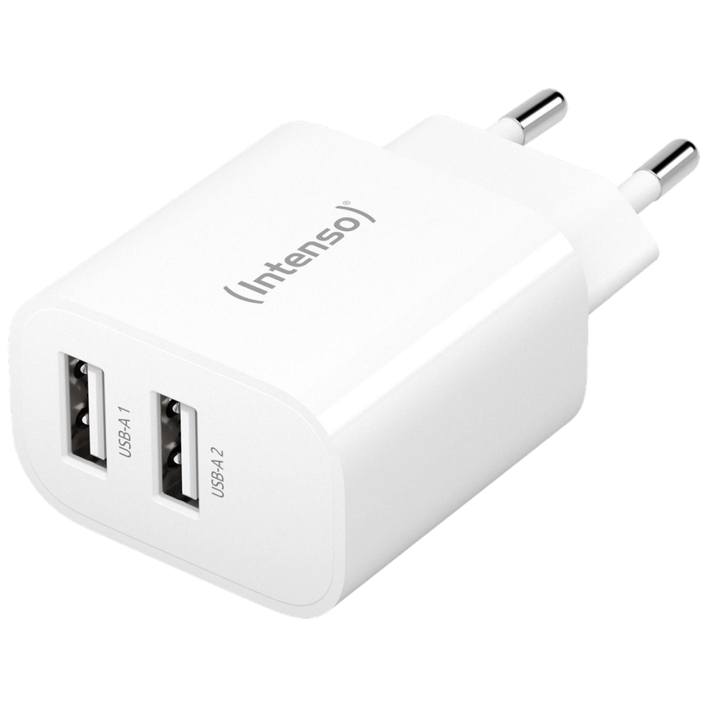 (Intenso) Punjač kučni, 2 x USB-A, 2.4A, 24W - Power Adapter W24AA slika 2