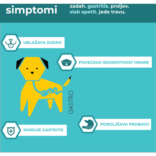 Apipet Gastro, dodatak prehrani za pse, potpora probavi, 120 kapsula slika 2