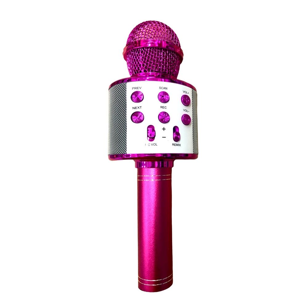 Mikrofon Super Star WS 858 slika 3