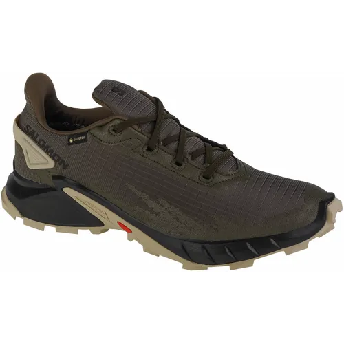 Salomon alphacross 4 gtx 471169 slika 5