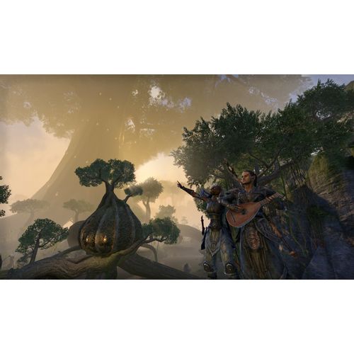 The Elder Scrolls Online: Tamriel Unlimited (Playstation 4) slika 14