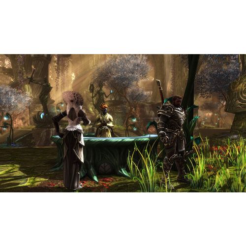 Kingdoms of Amalur Re-Reckoning (PC) slika 10