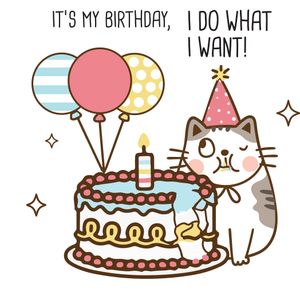 (VK 163) It's my birthday, I do what I want