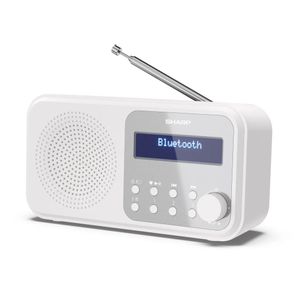 VIVAX - VIVAX FM DAB radio DW-2 DAB Black - VIVAX