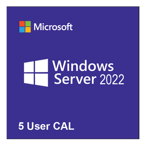 Microsoft R18-06466 Windows Server CAL 2022 English 1pk DSP OEI 5 Clt User CAL