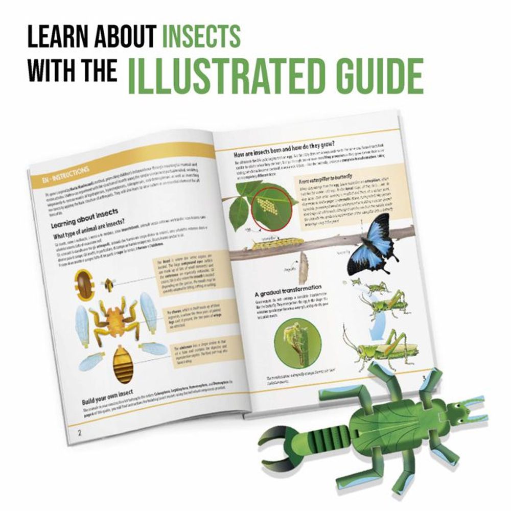 HEADU Edukativna slagalica Insect Builder slika 4