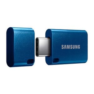 USB Flash Samsung 256GB Type-C USB 3.1 MUF-256DA