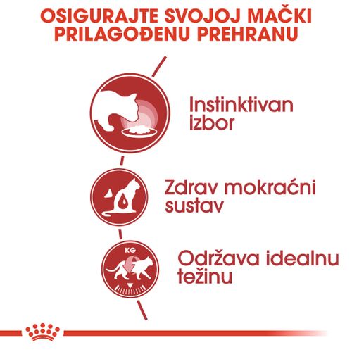 ROYAL CANIN FHN KITTEN Instinctive Loaf, potpuna hrana u vrećici za mačiće do 12 mjeseci i gravidne mačke, pašteta, 12x85 g slika 6