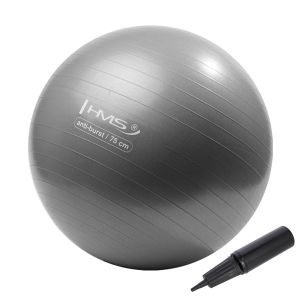 Yb02n 75cm siva lopta za teretanu hms