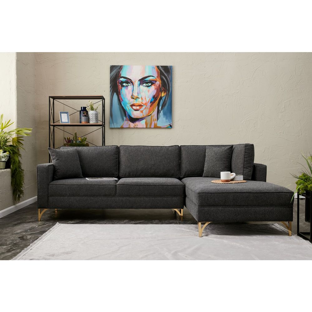 Berlin Desni Kutni Sofa - Antracit, Zlatni Antracit slika 1