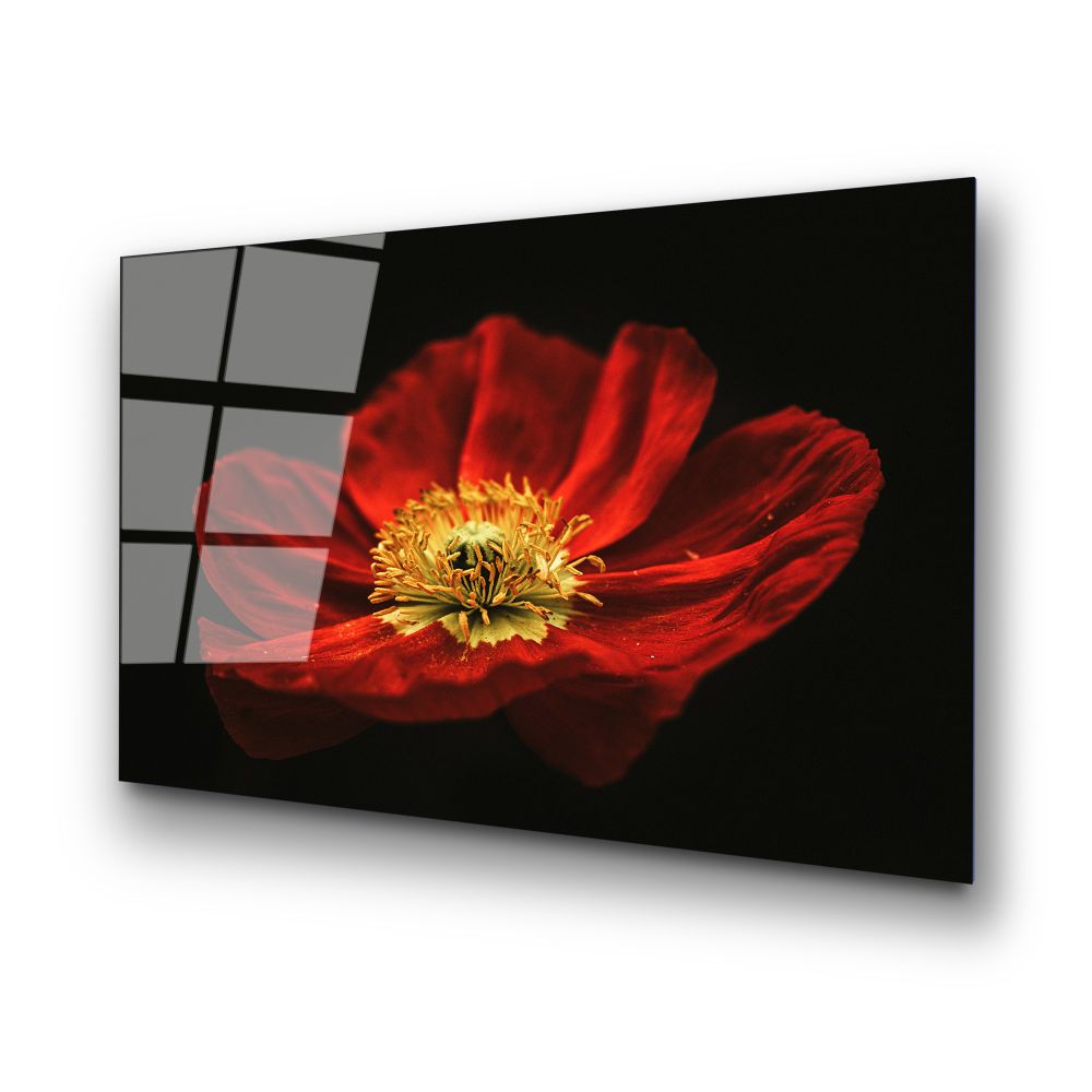Dekorativna Slika na Kaljenom Staklu UV-204, 70 x 100 cm, Višebojna slika 6