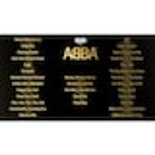 Let's Sing: ABBA - Double Mic Bundle (Nintendo Switch) slika 2