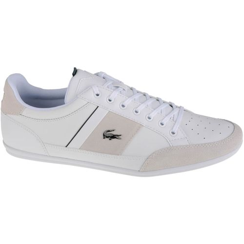 Lacoste Chaymon muške tenisice 741CMA00641R5 slika 1