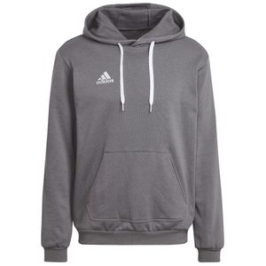 Adidas entrada 22 sweat hoodie hb0578