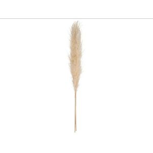 Atmosphera umjetna trava pampas h110 krem