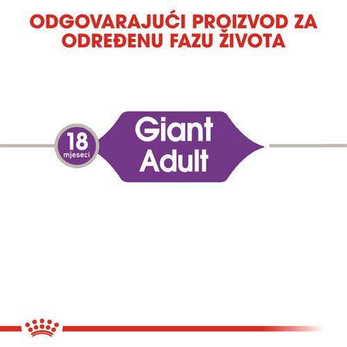 ROYAL CANIN SHN Giant Adult, potpuna hrana za odrasle pse divovskih pasmina starosti nakon 18/24 mjeseca, 15 kg slika 7