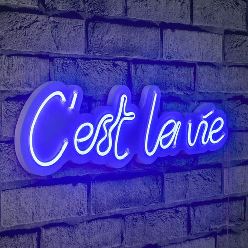 Wallity Ukrasna plastična LED rasvjeta, C'est La Vie - Blue slika 11