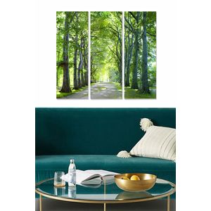 Dekorativna Slika od MDF-a u Više Boja (Set od 3 Komada) - MDF109051493
