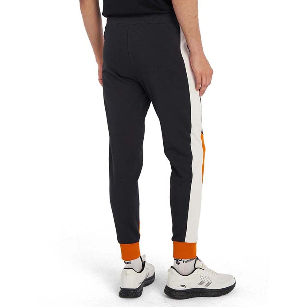 Hummel Donji dio trenerke za muškarce Hmlabel Pants slika 2
