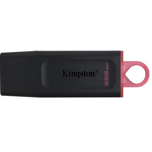 Kingston MEM UFD 256GB DTX KIN slika 1