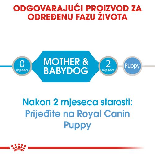 ROYAL CANIN SHN Starter Mousse, potpuna hrana za pse, namijenjena je štencima za odvikavanje od sisanja sve do kraja 2. mjeseca života te kujama tijekom zadnje trećine graviditeta i tijekom laktacije, 12x195 g slika 8