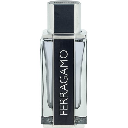 Salvatore Ferragamo Ferragamo Eau De Toilette 100 ml (man) slika 3