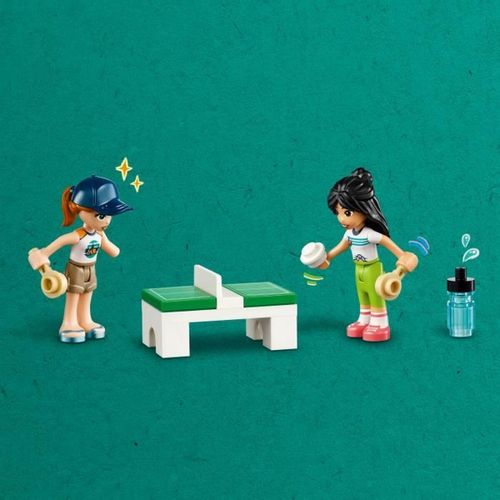 Igra Gradnje Lego Friends Pisana slika 4