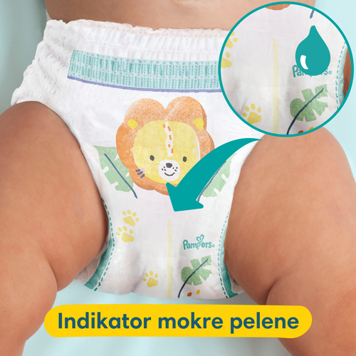 Pampers Pants Pelene-gaćice, Mjesečno pakiranje slika 12