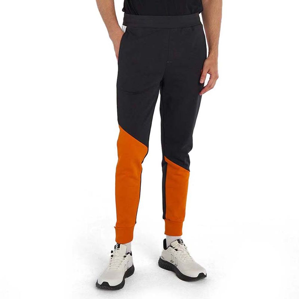 Hummel Donji dio trenerke za muškarce Hmlabel Pants slika 3