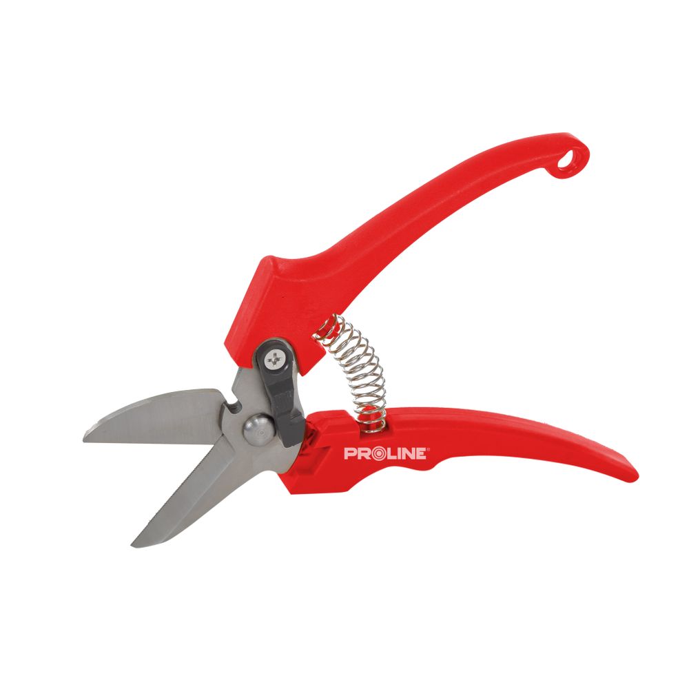 ŠKARE ZA CVIJEĆE, INOX 8"  PROLINE  40088 slika 1