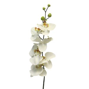 Cvet ORCHID 78cm 11518-0 - Cream - NNT