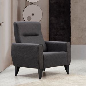 Minar - Dark Grey Dark Grey Wing Chair