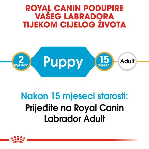 ROYAL CANIN BHN Labrador Retriever Puppy, potpuna hrana za štenad labrador retrievera do 15 mjeseci starosti, 12 kg slika 8