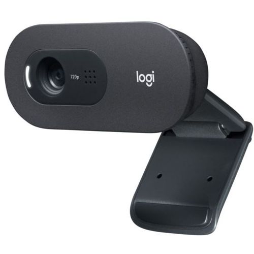 Logitech Webcam C505E 720p slika 1