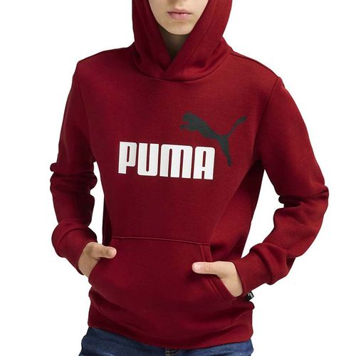 Puma Duks Puma Ess+ 2 Col Big Logo Hoodie Fl B Za Dečake slika 1