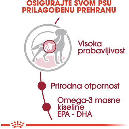 ROYAL CANIN SHN Medium adult vrećice za pse, potpuna hrana za odrasle pse srednje velikih pasmina (od 11 do 25 kg), od 12 mjeseci do 10 godina starosti, 10x140 g slika 7