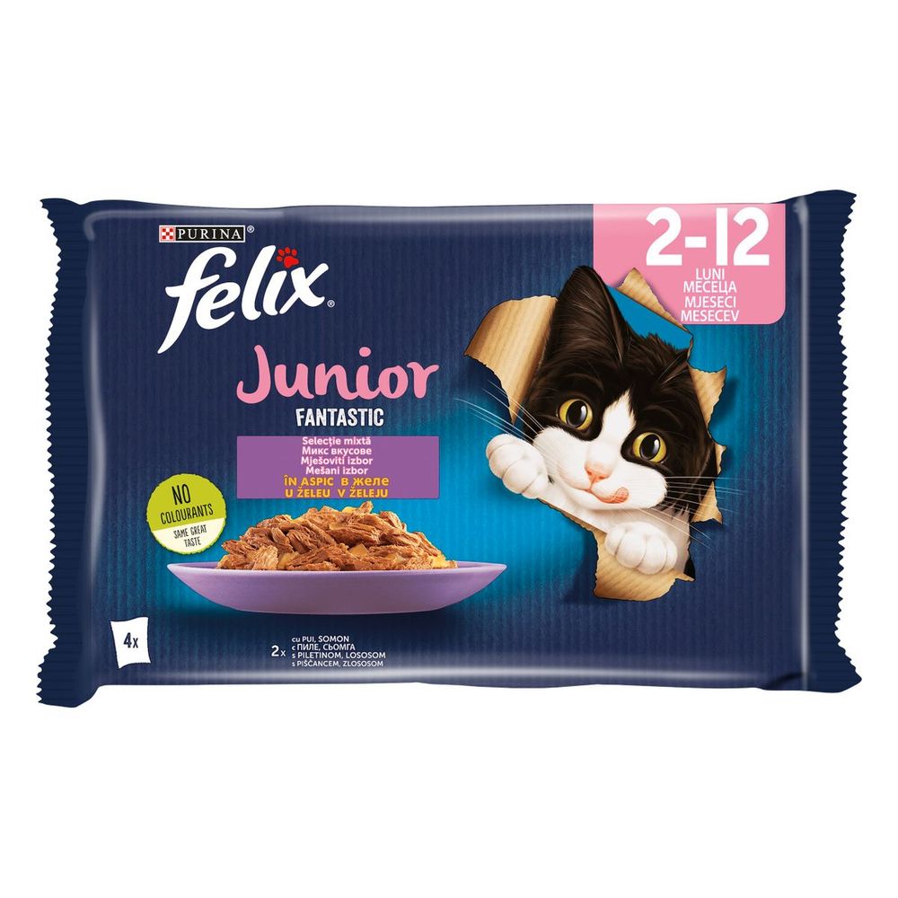 FELIX Fantastic JUNIOR Mješoviti izbor, za mačiće, mokra hrana sa piletinom u želeu i sa lososom u želeu, 4x85g slika 1