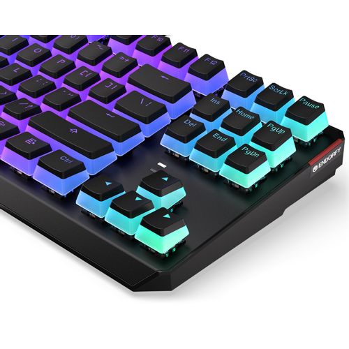 Endorfy Thock TKL Pudding RGB tastatura (EY5A004) slika 3