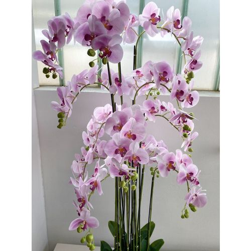 Orhideja u posudi, pink 160 cm slika 2