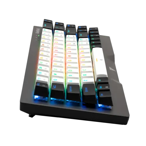 Gamdias Hermes M4 Hybrid Mehanička Tastatura RGB slika 3