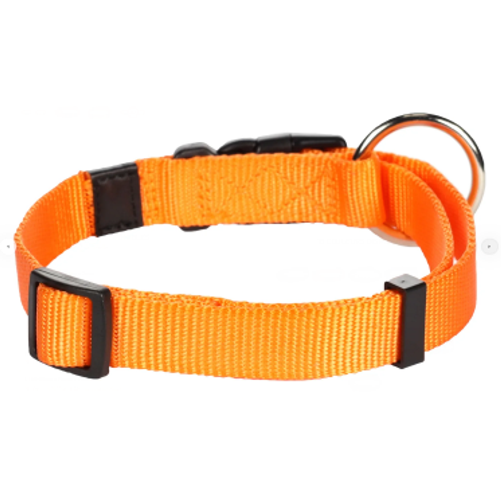 OGRLICA ZA PSA ZIGGI NARANČASTA M 40-55cm, 20mm slika 2