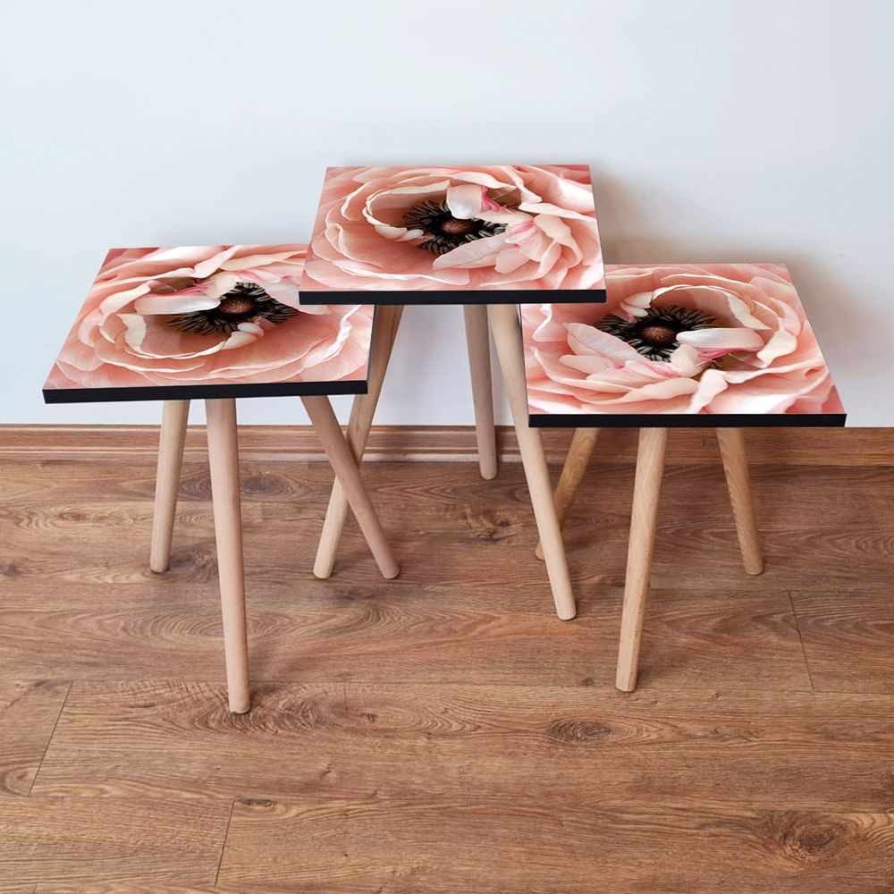 Nesting Table 3Shp251 - Set od 3 Stola u Bojama: Losos, Smeđa, Bijela slika 1