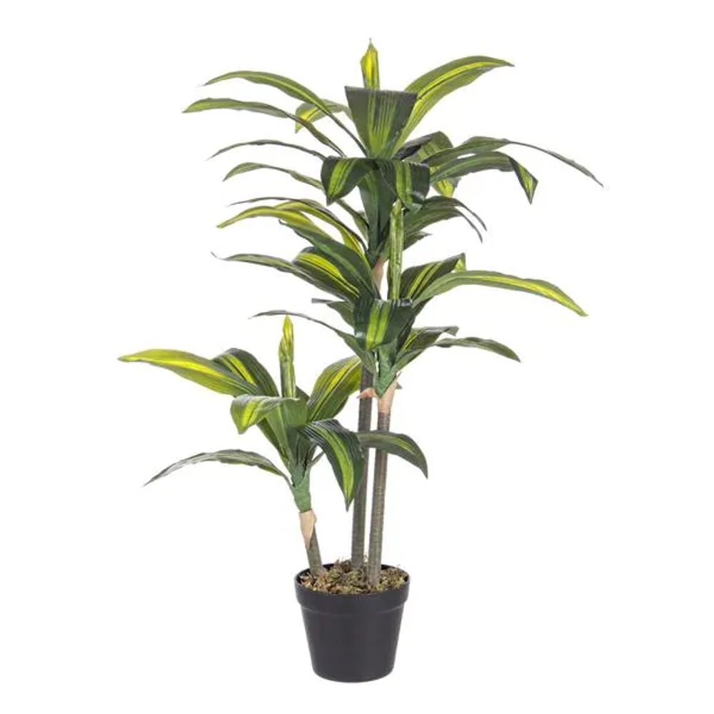 Bizzotto Biljka Dračena 88 cm zelena slika 1