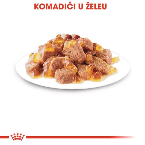 ROYAL CANIN FCN Ultra Light Weight Jelly, potpuna hrana za odrasle mačke, osigurava kontrolu tjelesne težine (u želeu), 12x85 g slika 5