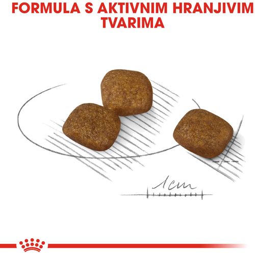 ROYAL CANIN CCN Mini Coat Care, potpuna hrana za odrasle pse malih pasmina, stariji od 10 mjeseci, 1 kg slika 8